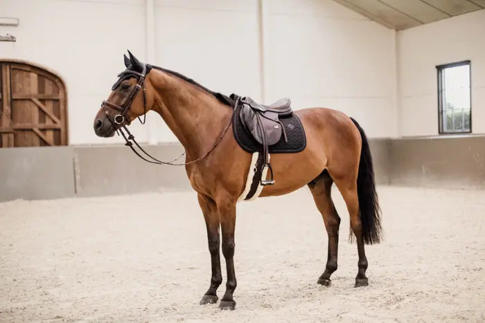 Kentucky Glitter & Rope Saddle Pad