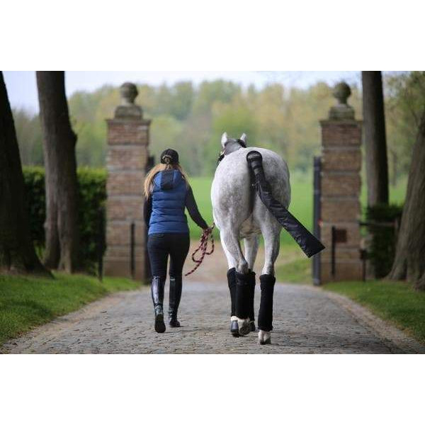Kentucky Tail Guard & Tail Bag