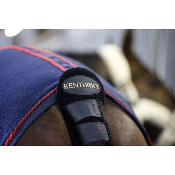 Kentucky Tail Guard & Tail Bag