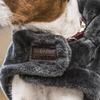 Kentucky Dog Coat Fake Fur