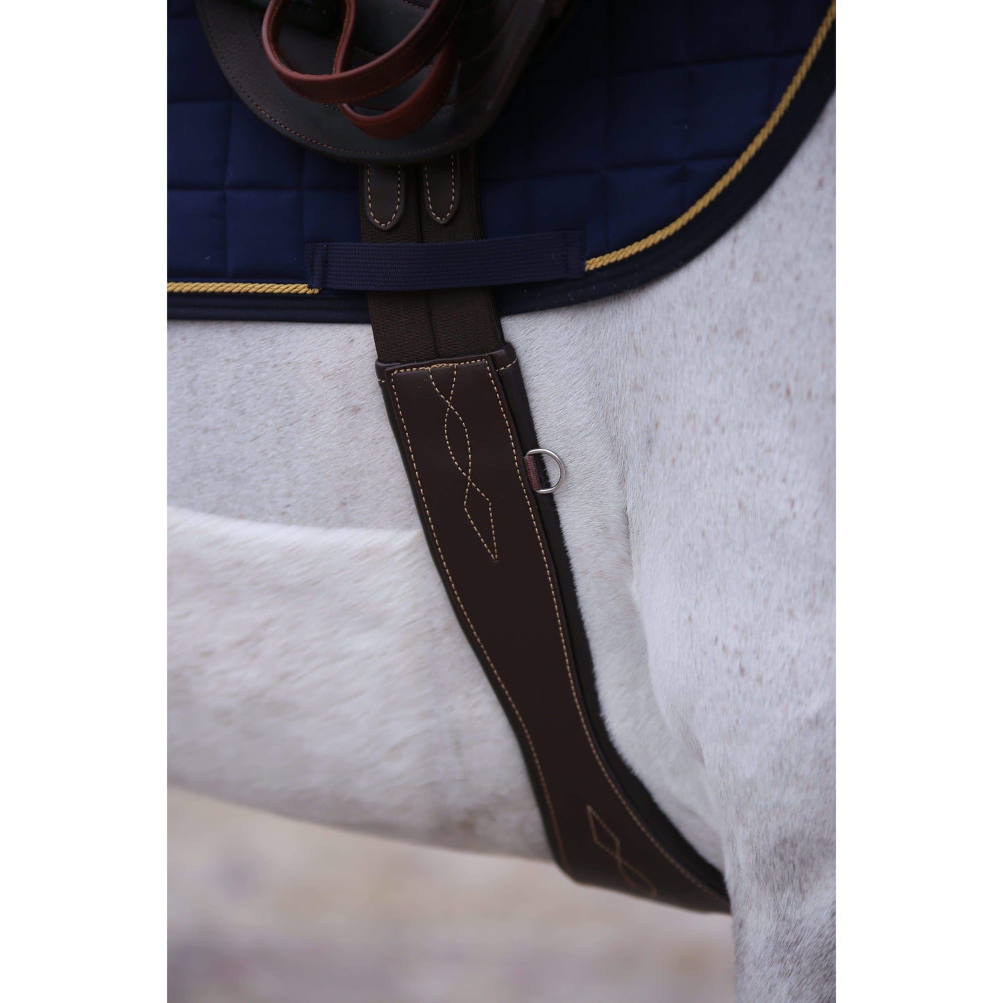 Kentucky Anatomical Girth