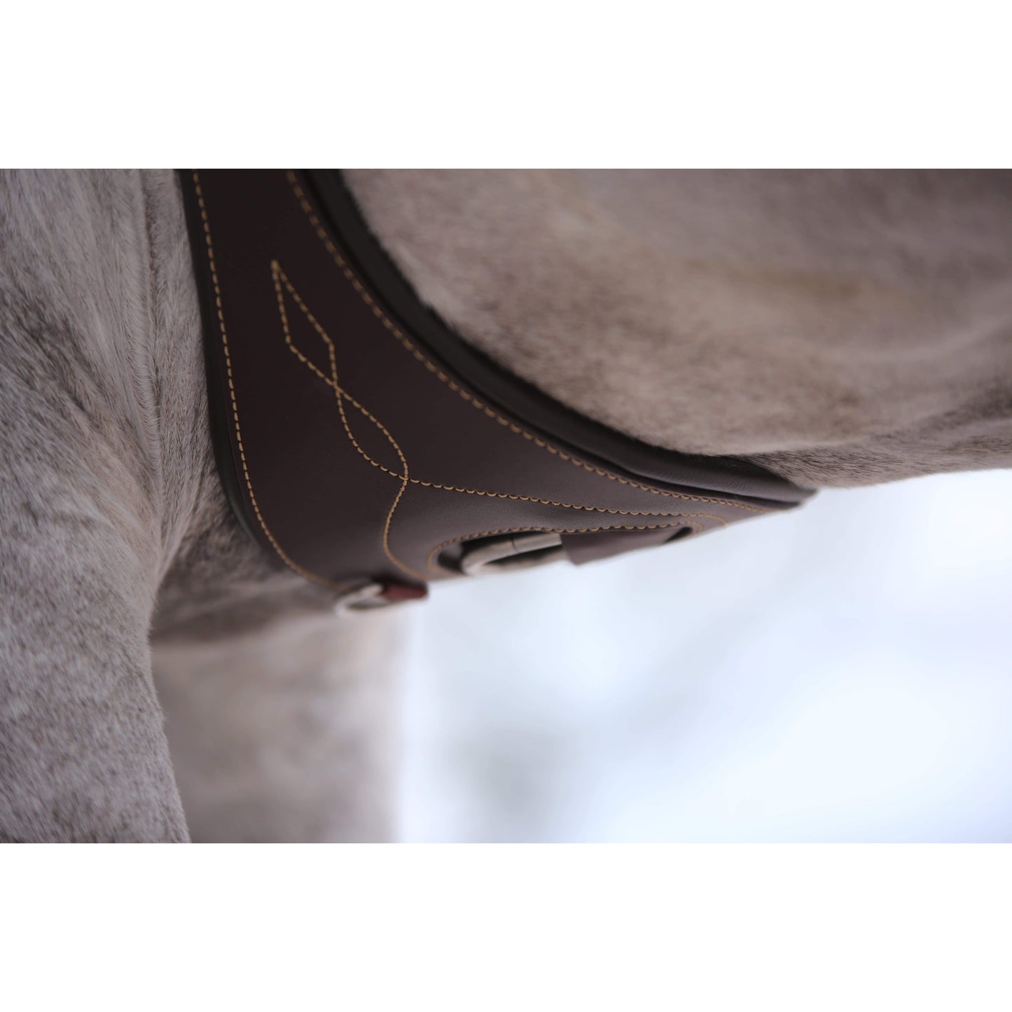 Kentucky Anatomical Girth