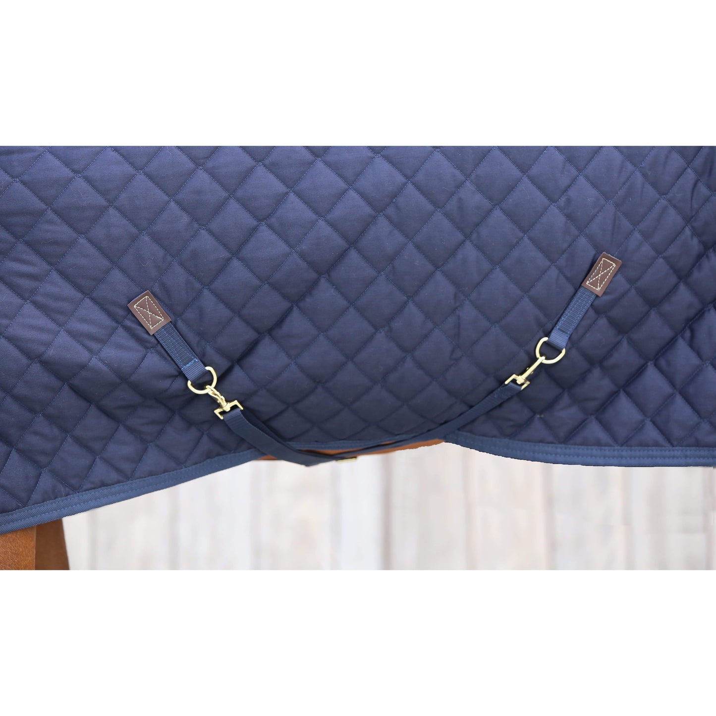 Kentucky Show Rug