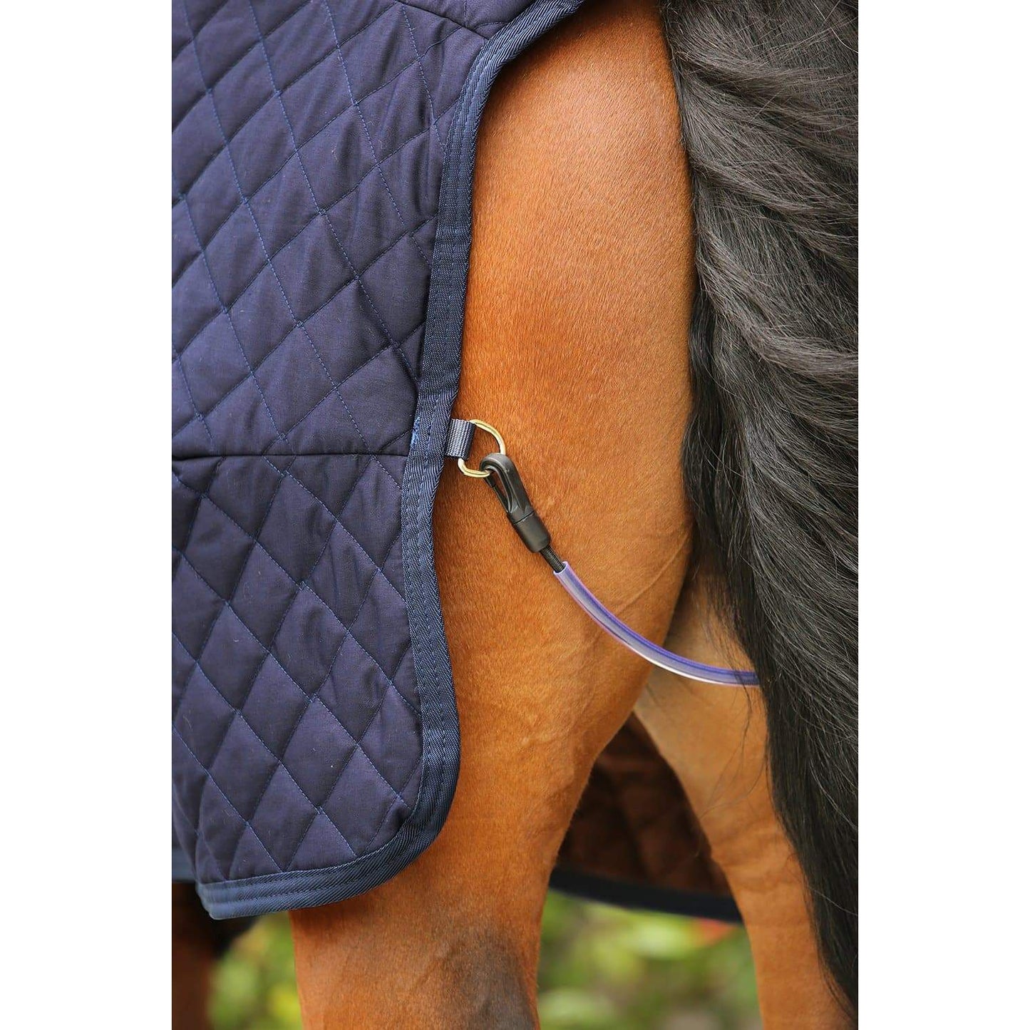 Kentucky Show Rug