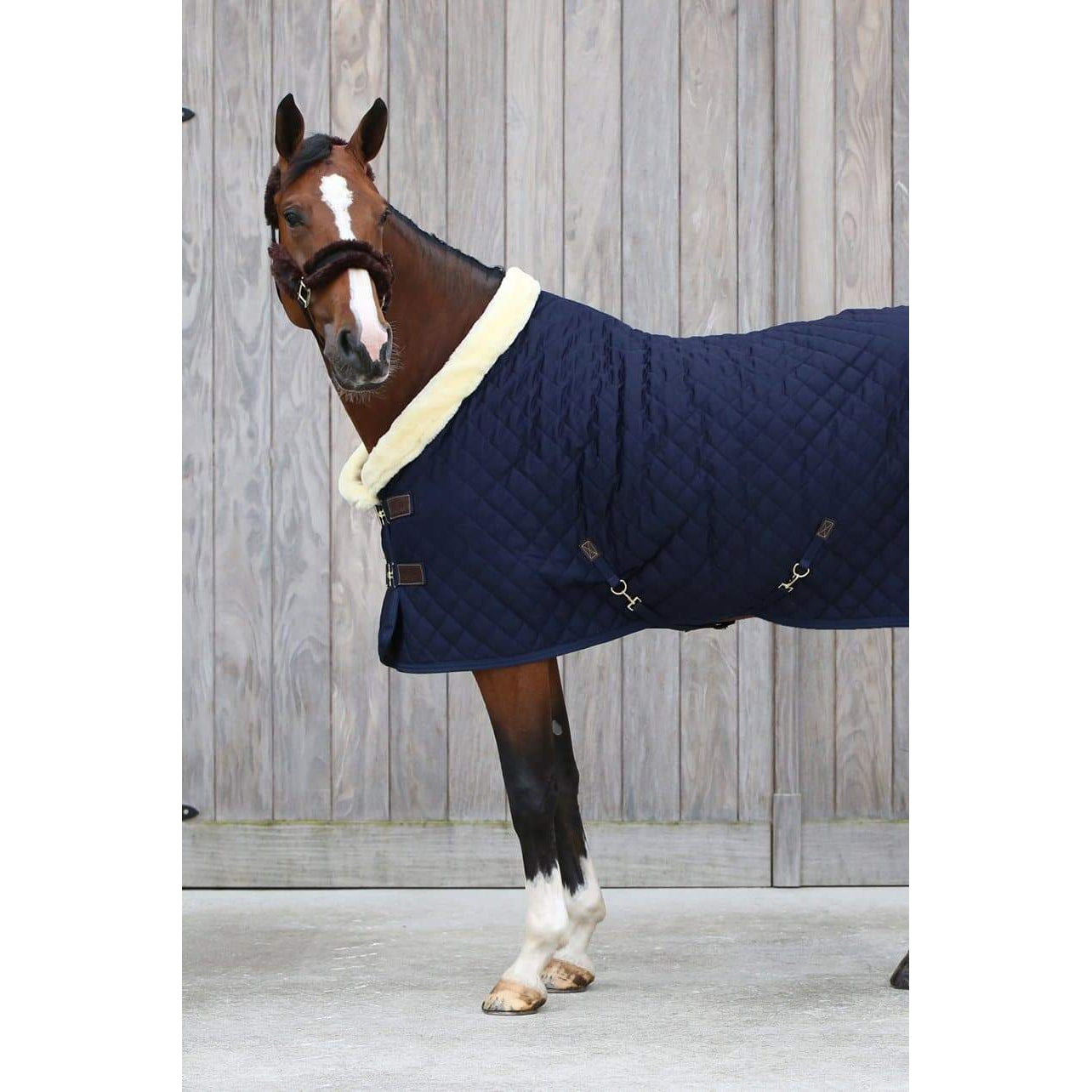 Kentucky Show Rug