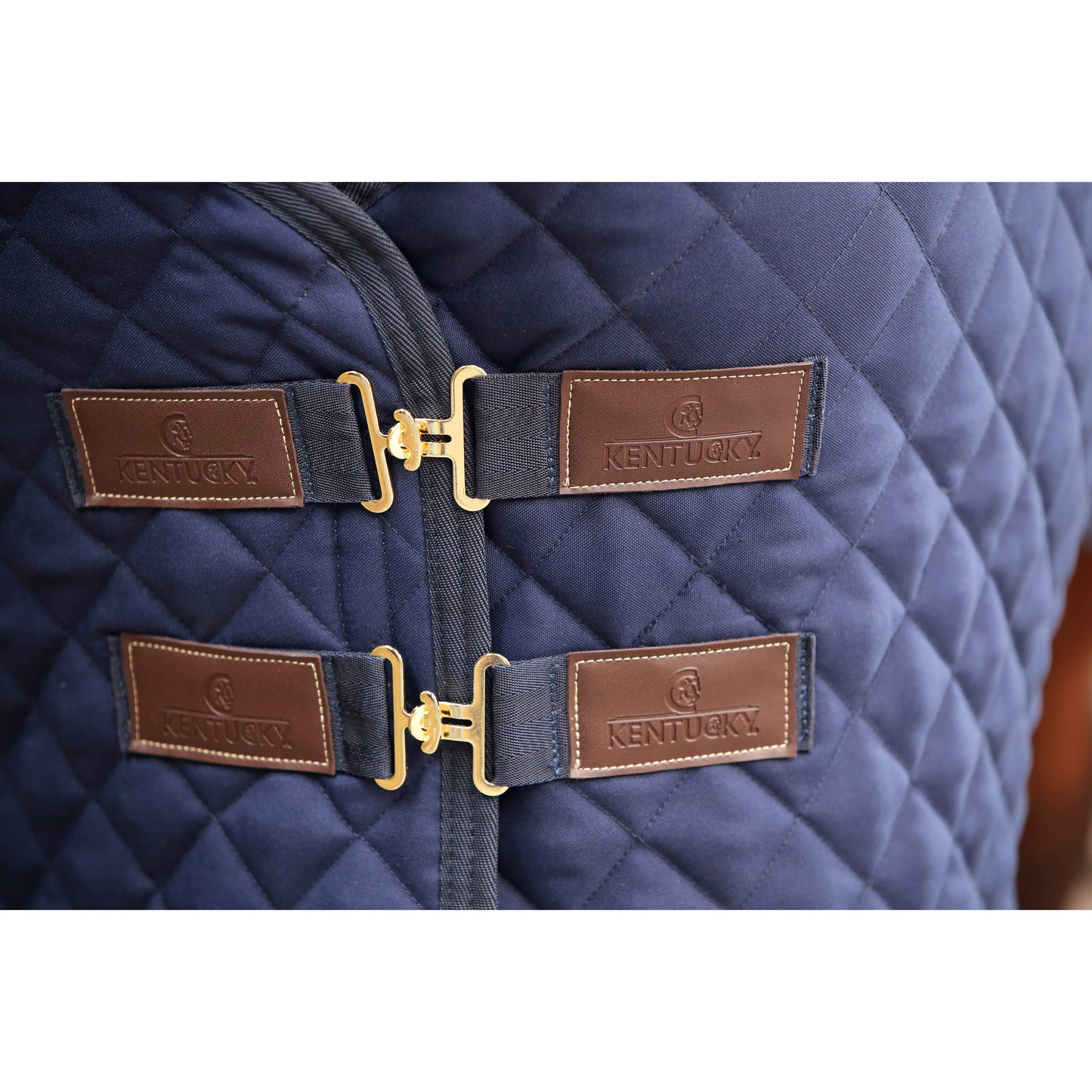 Kentucky Show Rug