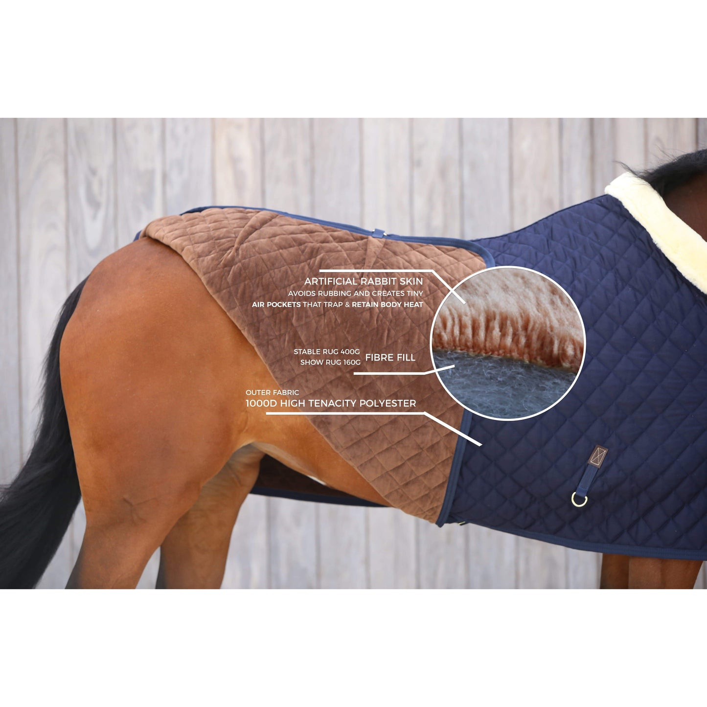 Kentucky Show Rug