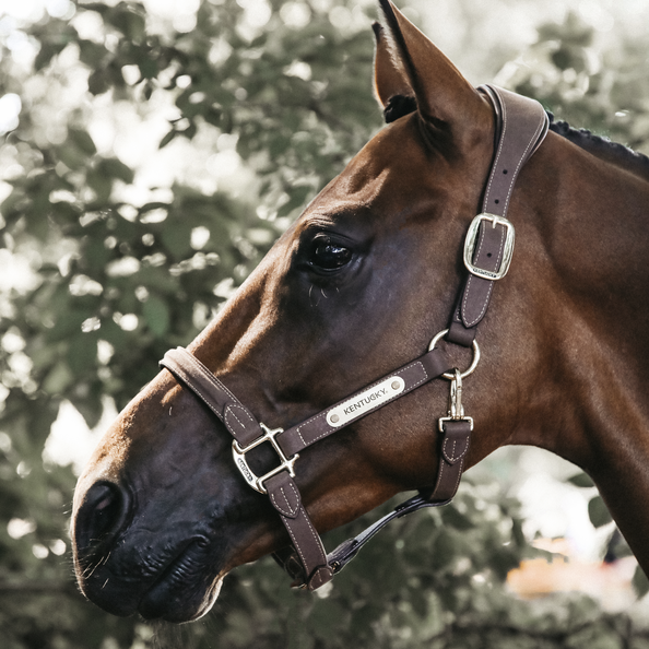 Kentucky Leather Anatomic Halter