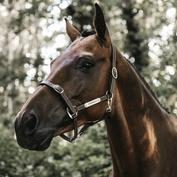Kentucky Flexible Halter