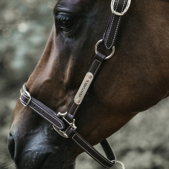 Kentucky Flexible Halter