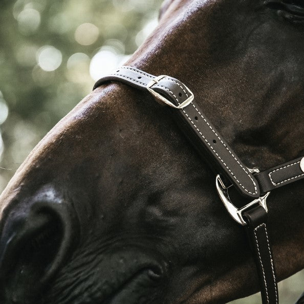 Kentucky Flexible Halter