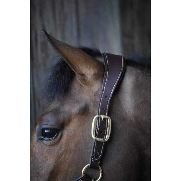 Kentucky Leather Anatomic Halter