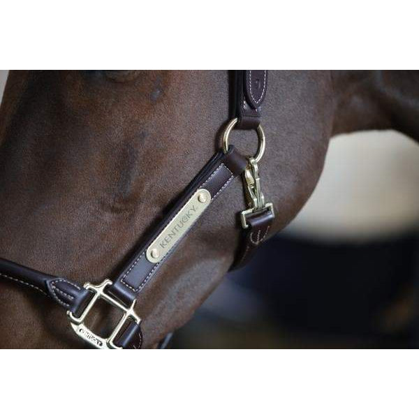 Kentucky Leather Anatomic Halter
