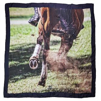 Luxx EQ Silk Scarves