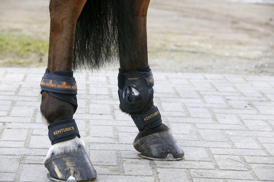 Kentucky Young Horse Fetlock Boots