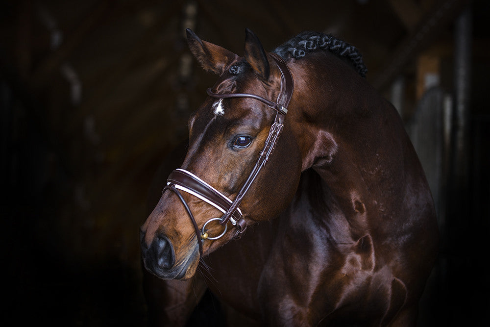 PS of Sweden Anatomical Bridles