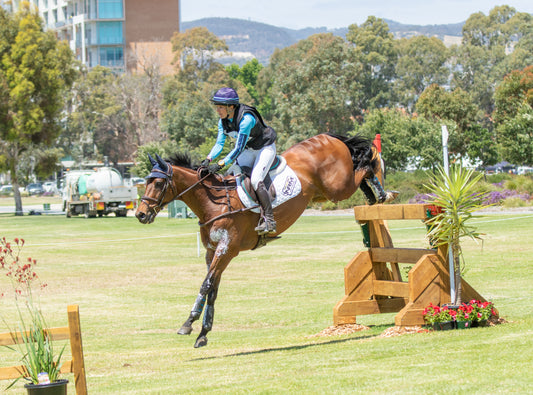 What Amanda Pottinger Eventing Has Been Doing During Lockdown