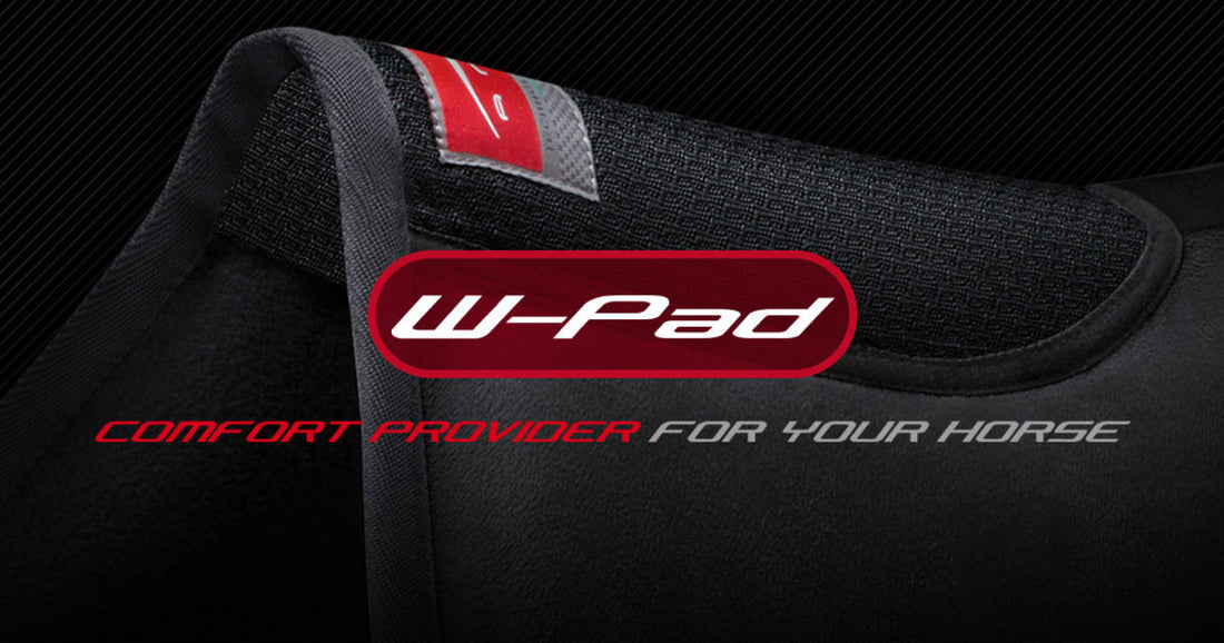 Animo W-Pad, the next gen of Absorb Half-Pads!