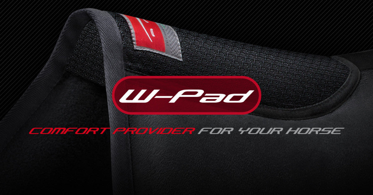 Animo W-Pad, the next gen of Absorb Half-Pads!