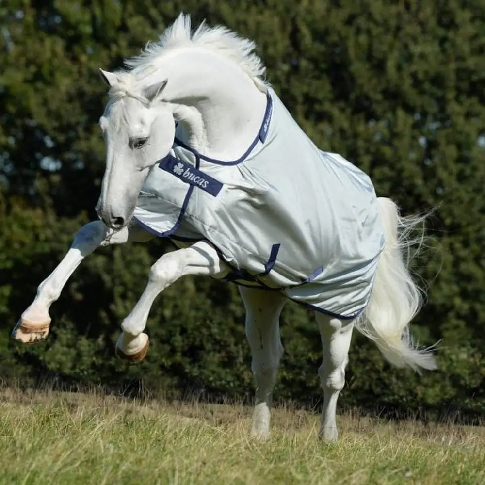 Why the Bucas Power Turnout Rug Is Worth the Investment