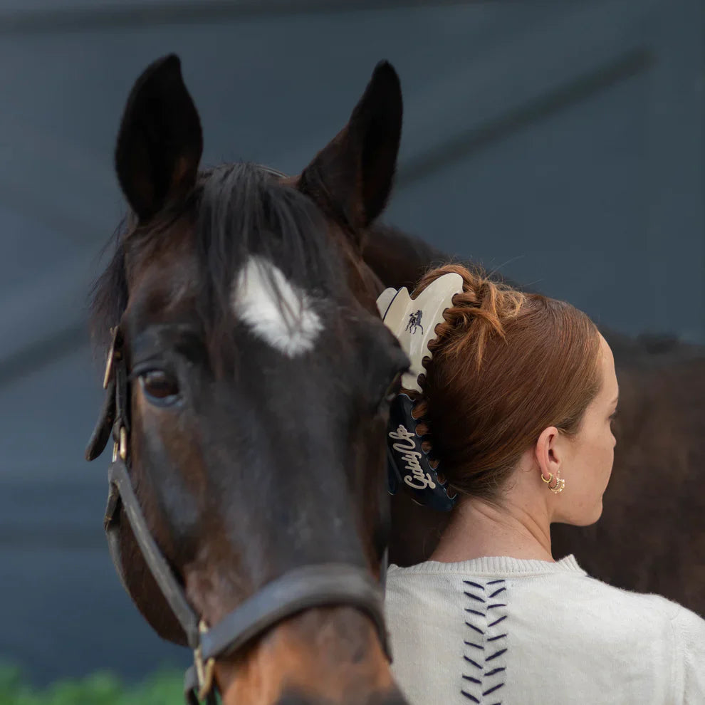 Ellsworth Equestrian