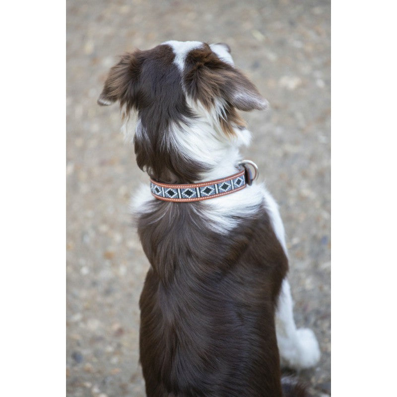 PENELOPE "PEARL" DOG COLLAR