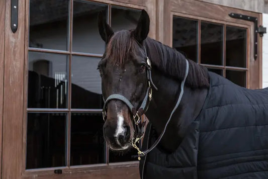 Kentucky Plaited Nylon Lead Rope