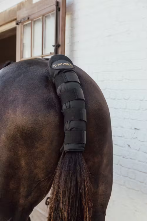 Kentucky Tail Guard Pro – Dapple EQ