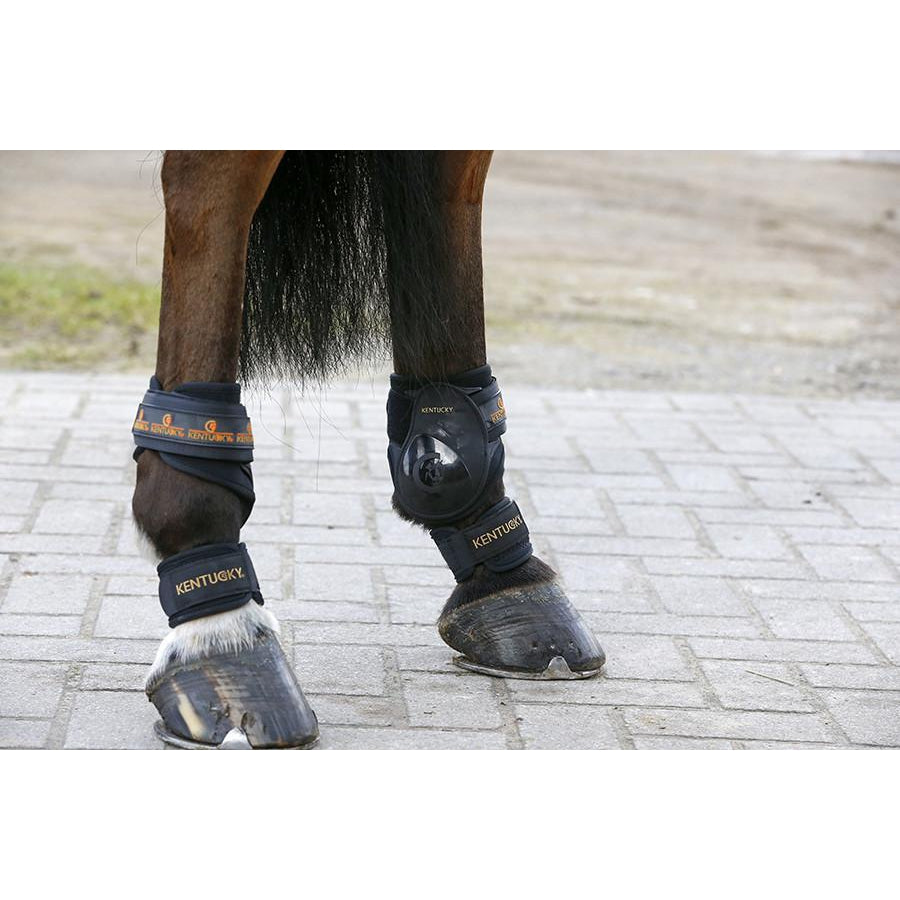 Kentucky Pastern Wrap