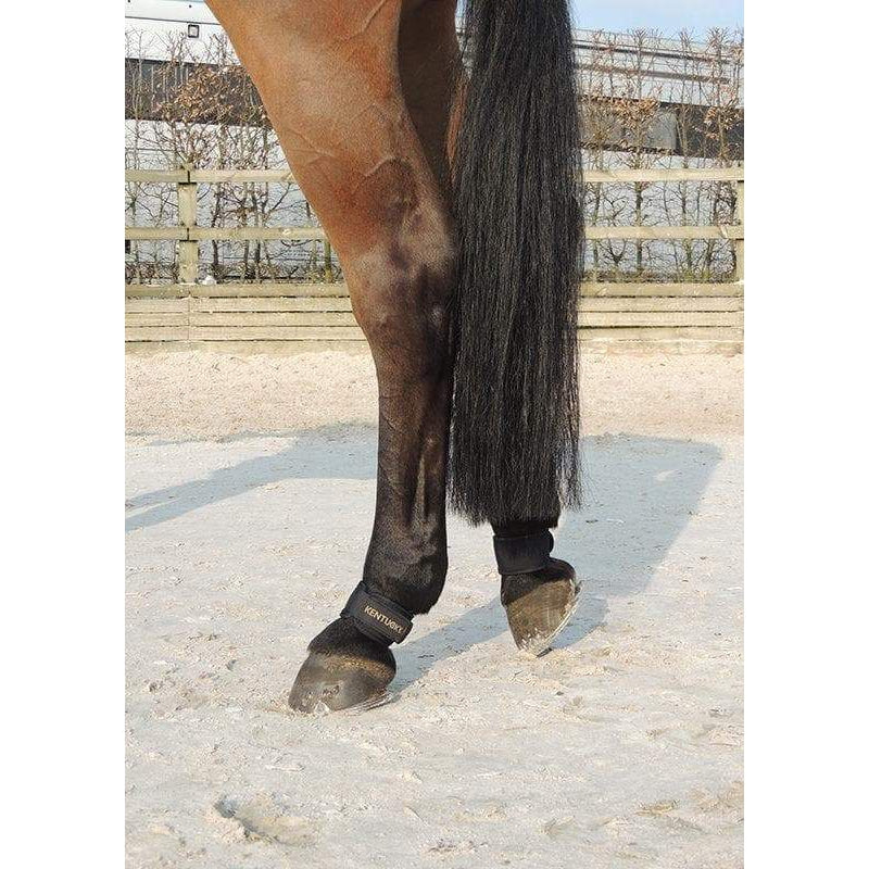 Kentucky Pastern Wrap