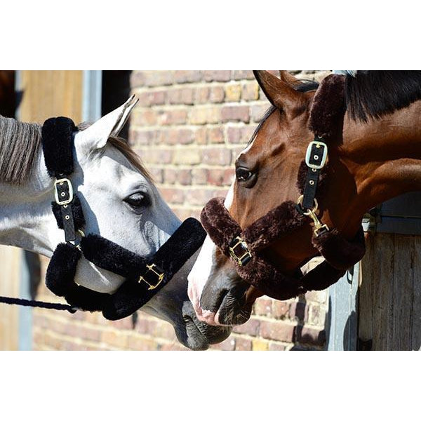 Kentucky Sheepskin Shipping Halter