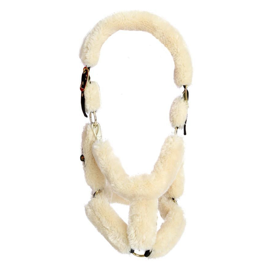 Kentucky Sheepskin Shipping Halter