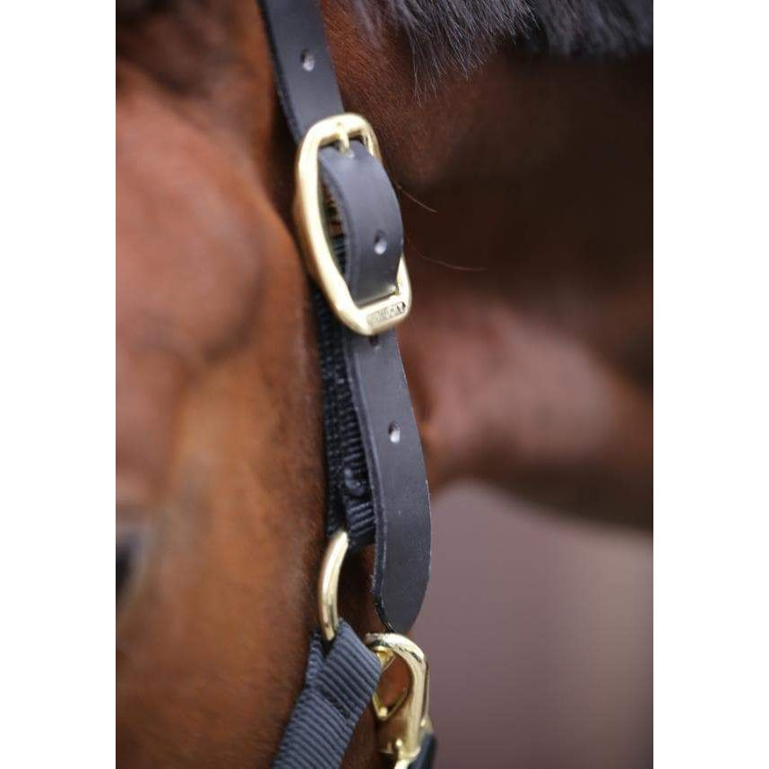 Kentucky Control Halter