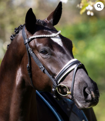 SD-Design L'Unique Browband