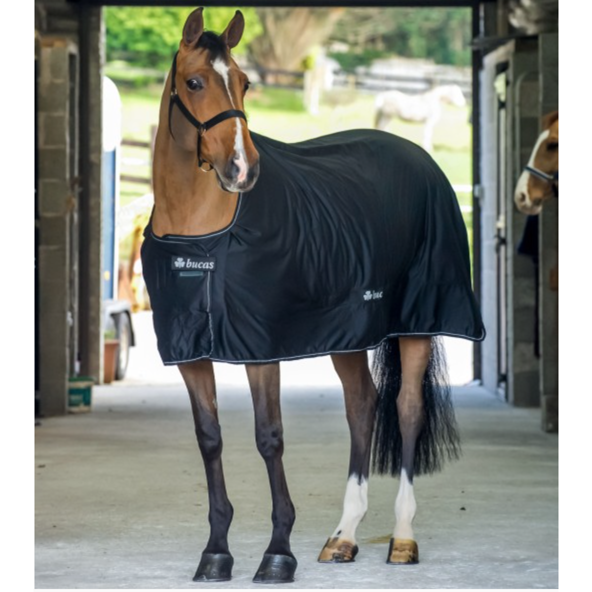 Bucas Power Cooler Classic Rug