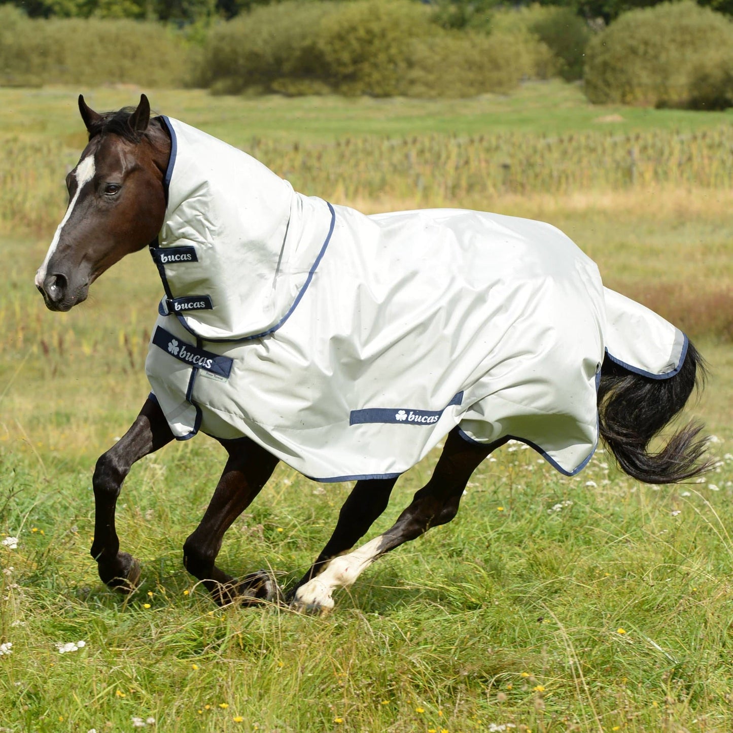 Bucas Power Turnout Rug