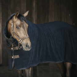 Kentucky Towel Rug