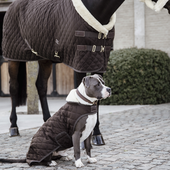 Kentucky Dog Coats