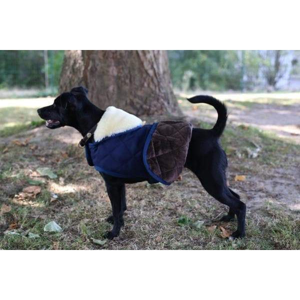 Kentucky Dog Coats