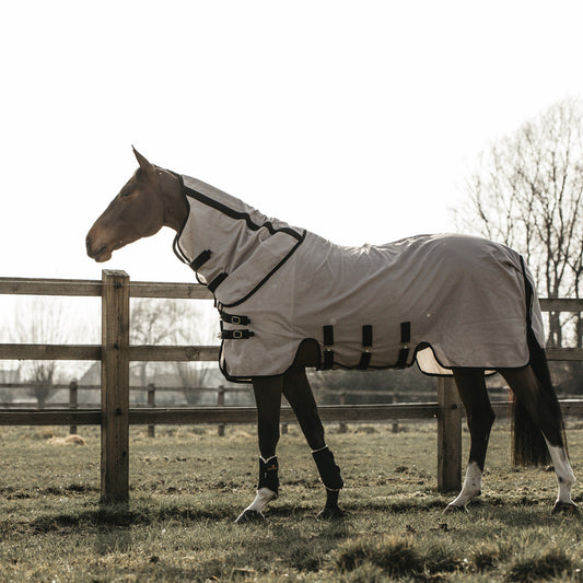 Kentucky Mesh Fly rug