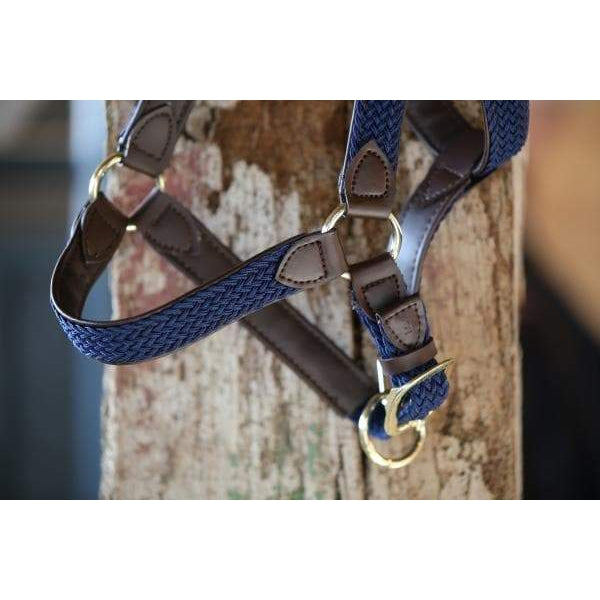 Kentucky Horsewear Plaited Nylon Dog Collar