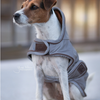 Kentucky Dog Raincoat